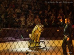 Családi hétvége a Fővárosi Nagycirkuszban